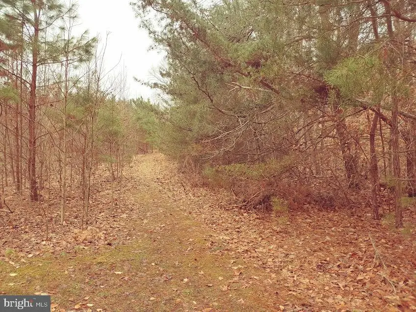 27425 Adams Ln, Mechanicsville, MD 20659 - #3