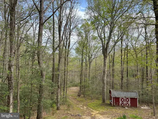 39655 Persimmon Creek Rd, MECHANICSVILLE, MD 20659