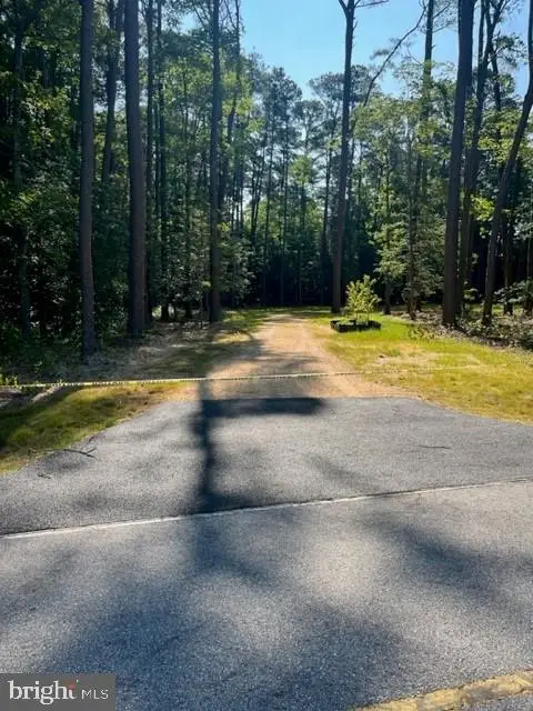 17328 Saint Jeromes Neck Rd, Dameron, MD 20628 - #2