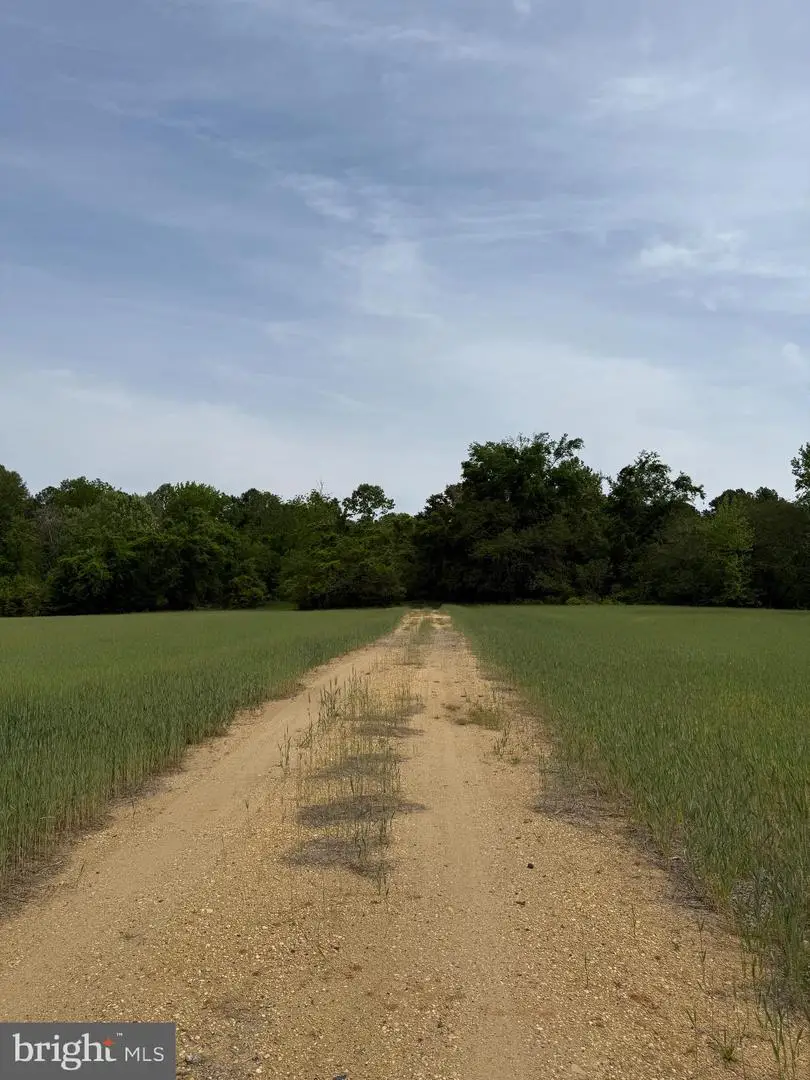 26200 Locust Grove Farm Ln, Hollywood, MD 20636 - #1