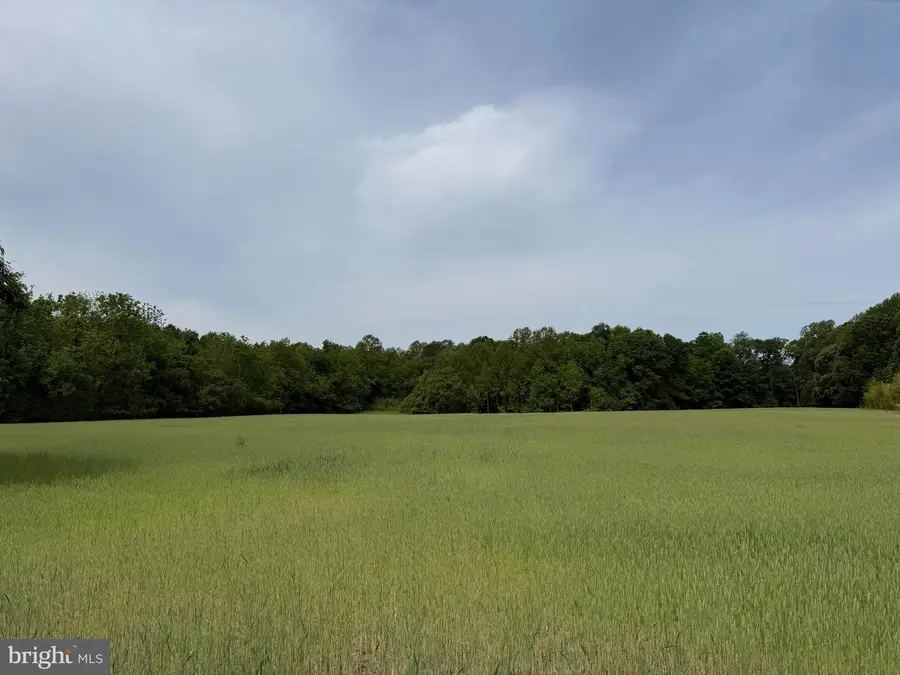 26200 Locust Grove Farm Ln, Hollywood, MD 20636 - #2