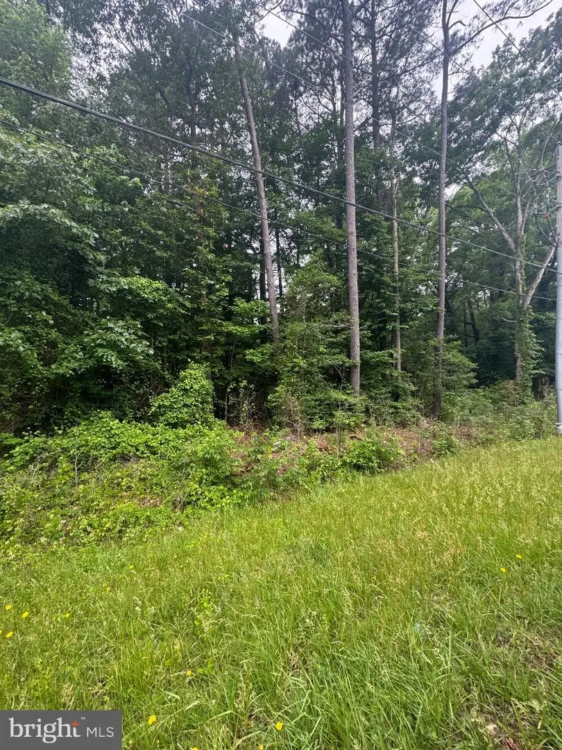 Whirlwind Rd, Leonardtown, MD 20650 - #2