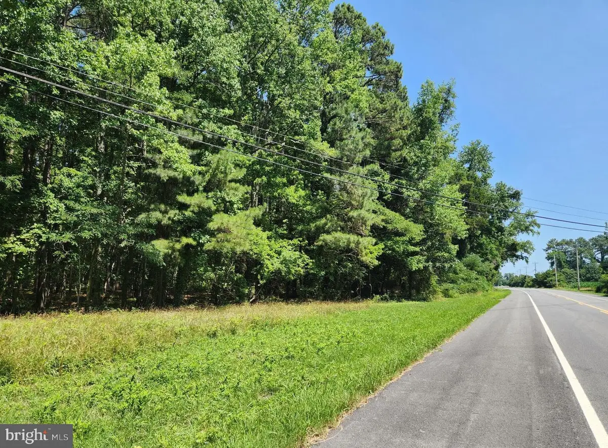 Point Lookout Rd, Scotland, MD 20687 - #1