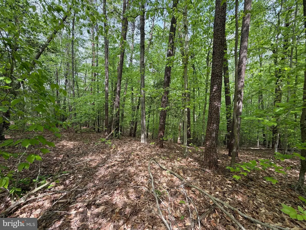 41160 Living Water Ln, Mechanicsville, MD 20659 - #1