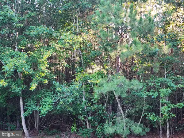 17025 Three Notch Rd, DAMERON, MD 20628
