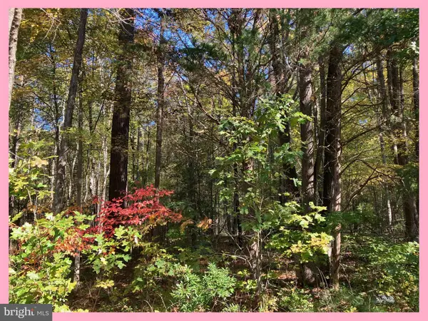 Lot 29 Woodbush Dr, BUSHWOOD, MD 20618