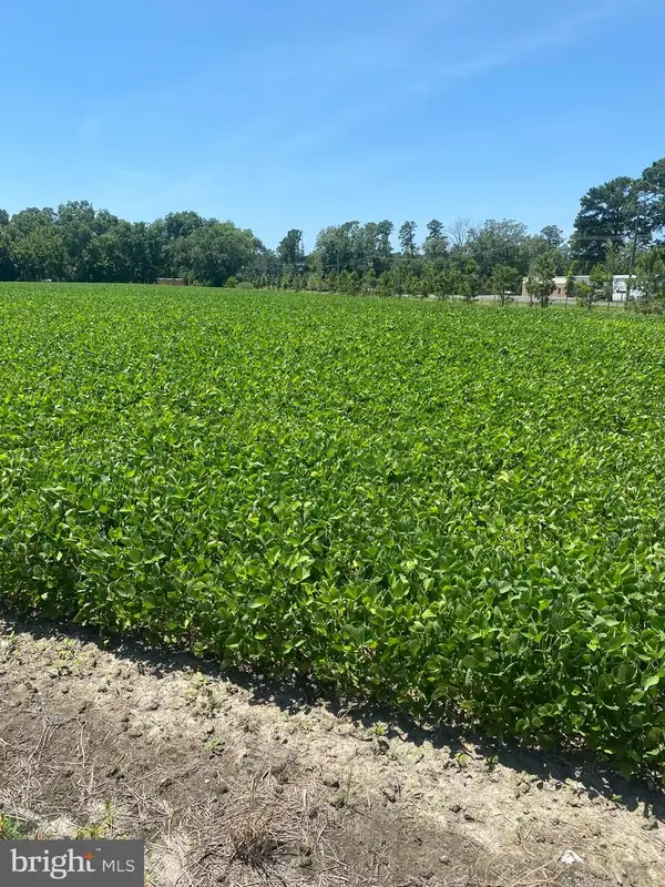 0 Lawson Barnes Rd, CRISFIELD, MD 21817