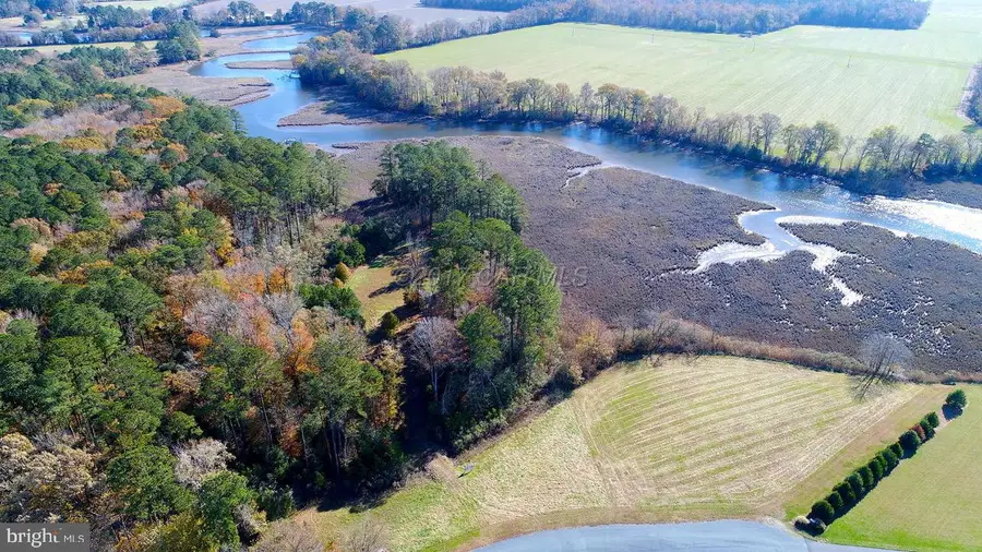 12485 Mallard Ln, Princess Anne, MD 21853 - Image #2