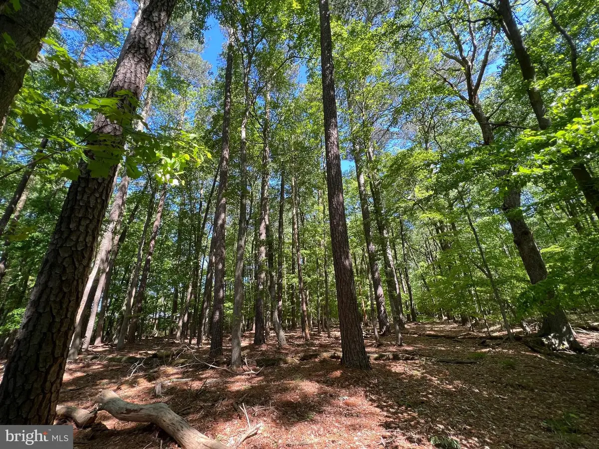 Parcel 40 Revells Neck Rd, Westover, MD 21871 - Image #1