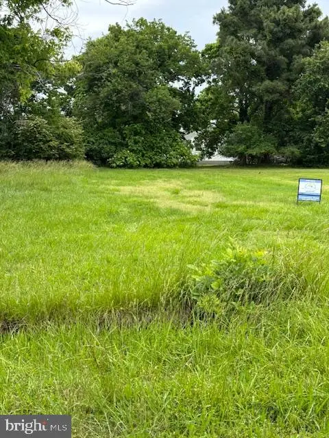 Parcel 210 Melvin White Rd, Deal Island, MD 21821 - Image #1