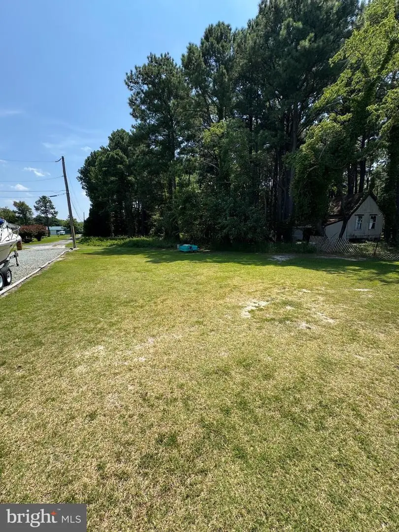 Parcels B & C Rolfe Ln, Deal Island, MD 21821 - Image #2