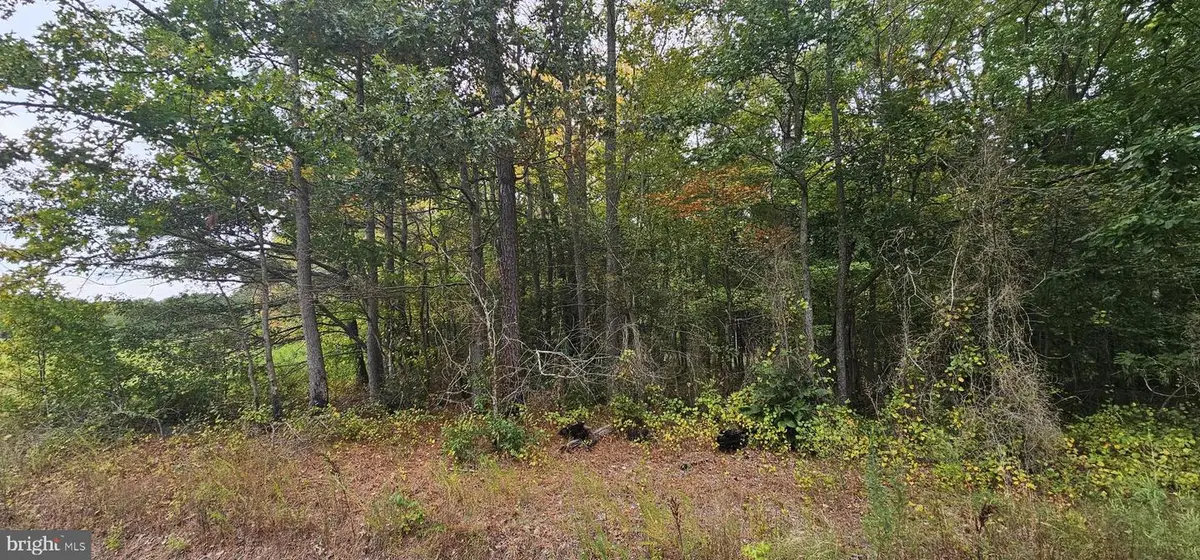 0 Mt Vernon Rd, Princess Anne, MD 21853 - Image #1