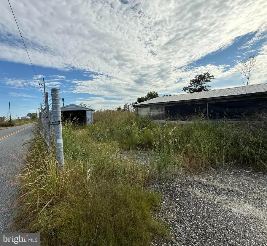 8920 Deal Island Rd, Deal Island, MD 21821 - Image #2
