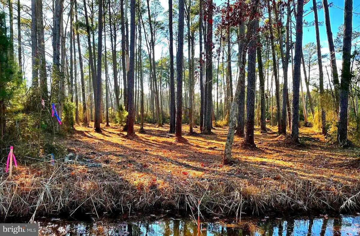 Lot 5 Nevette Muir Rd, Westover, MD 21871 - Image #1