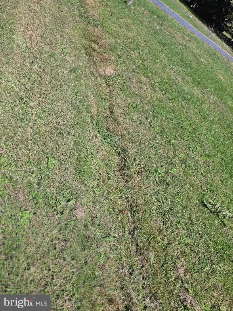 0 Upper Hill Rd, Westover, MD 21871 - Image #3