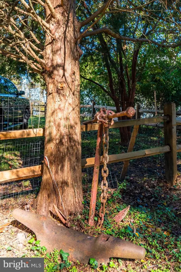 26388 Mount Vernon Rd, Princess Anne, MD 21853 - Image #2