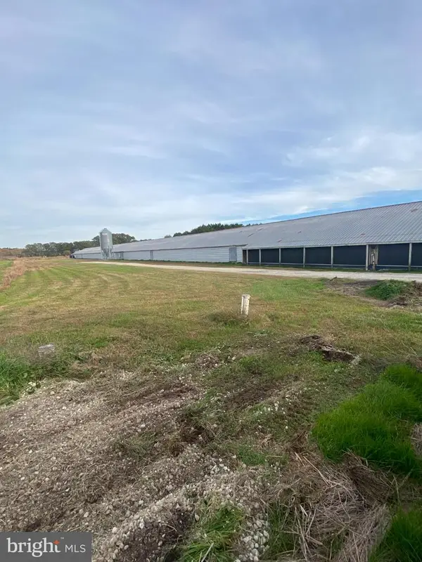 27160 Cash Corner, CRISFIELD, MD 21817