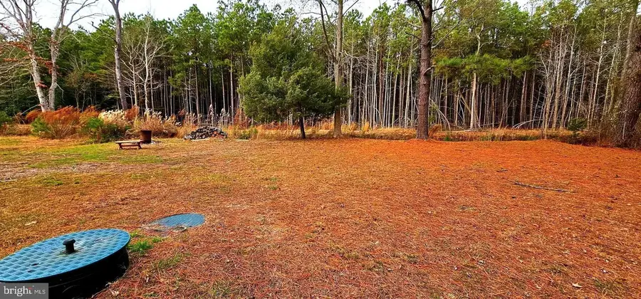 23550 Deal Island Rd, Deal Island, MD 21821 - Image #3