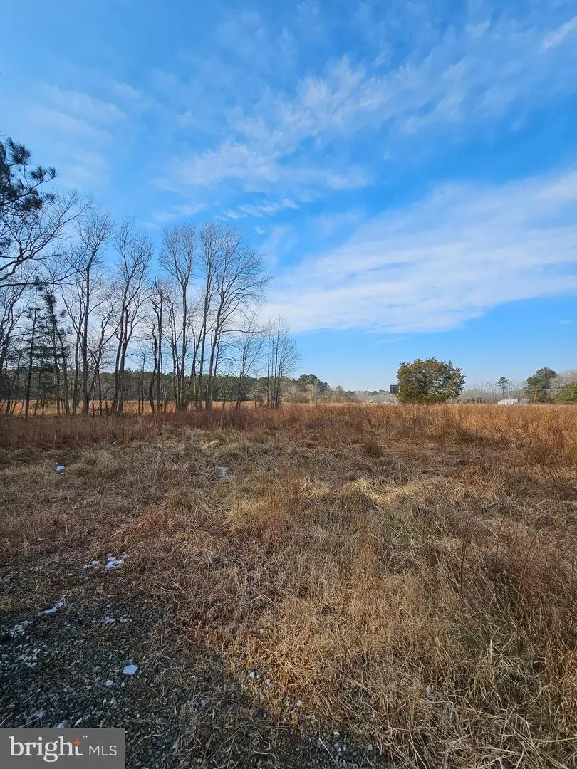 8758 Grill Ln, Westover, MD 21871 - #3