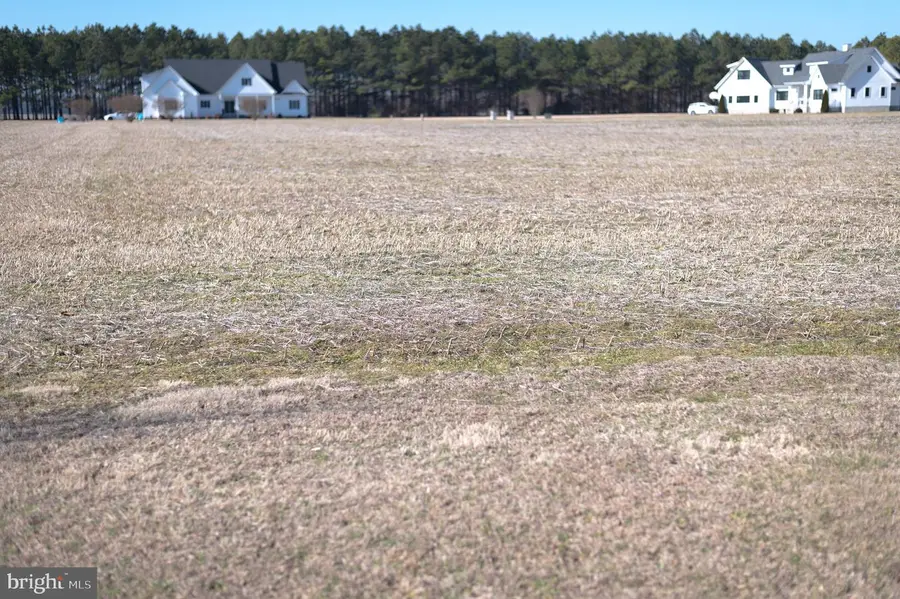 30083 Arbor Acre Dr, Princess Anne, MD 21853 - #2