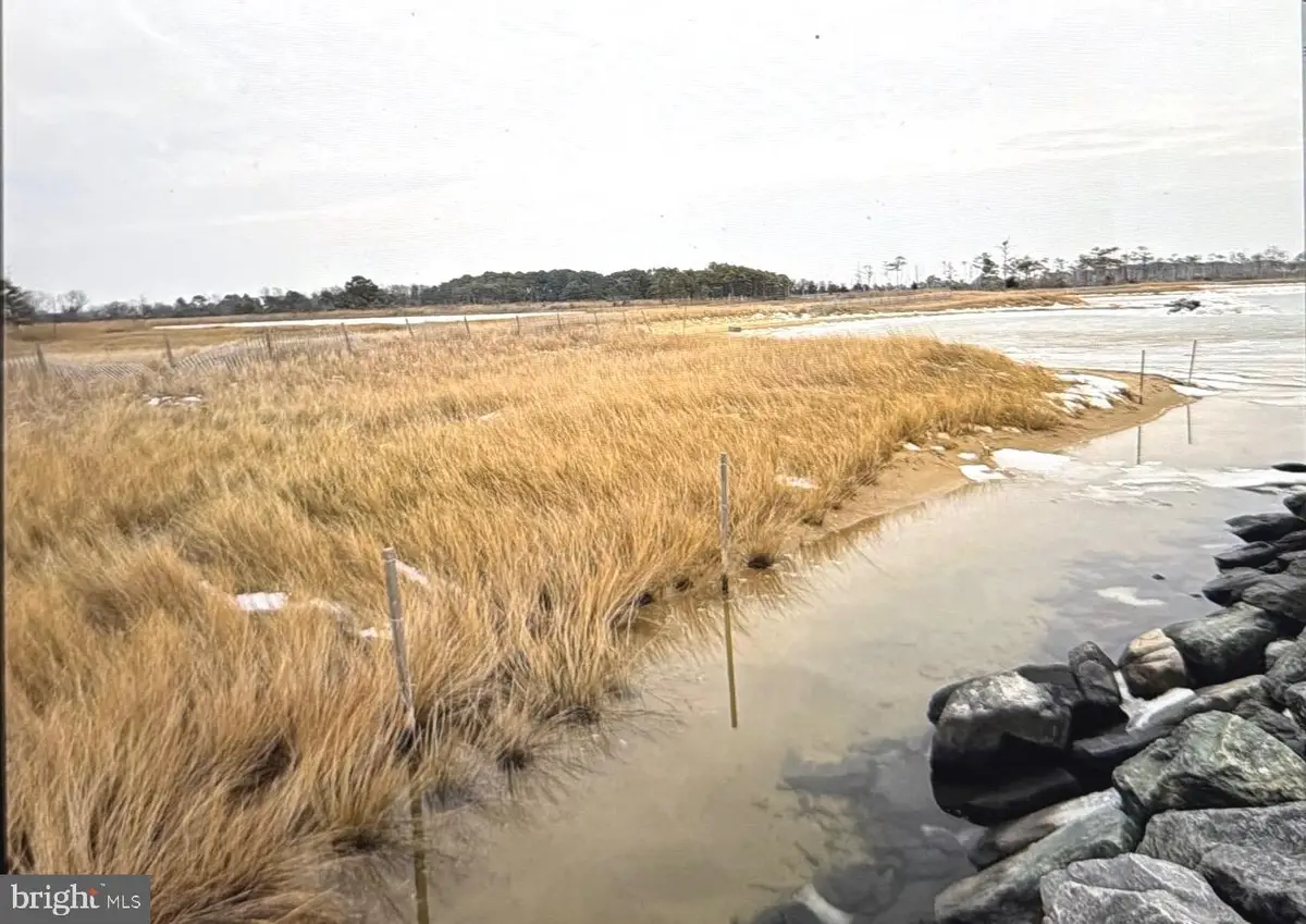 0 Crowell Rd, Deal Island, MD 21821 - #1