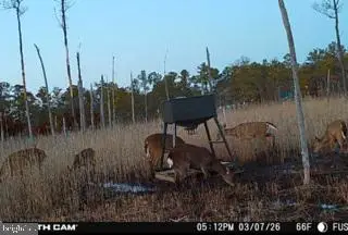 007 Mt. Vernon Rd, Princess Anne, MD 21853 - #3