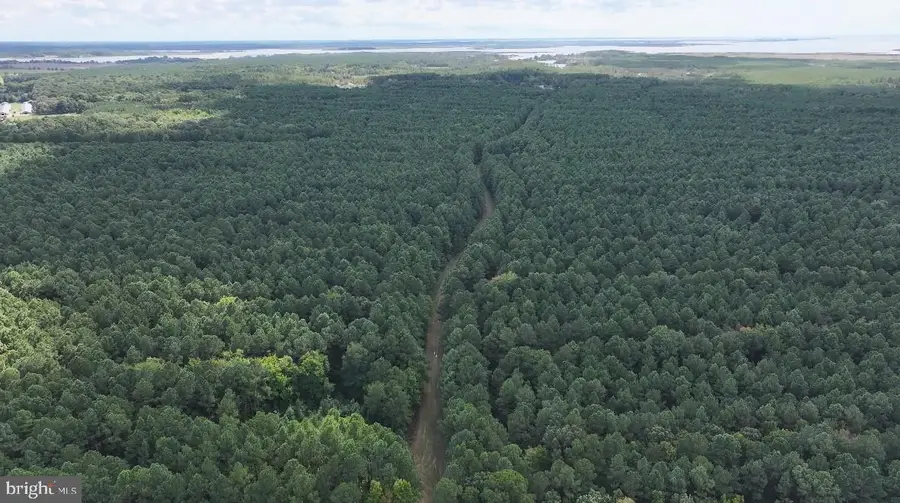 0 Deal Island Rd, Princess Anne, MD 21853 - #2