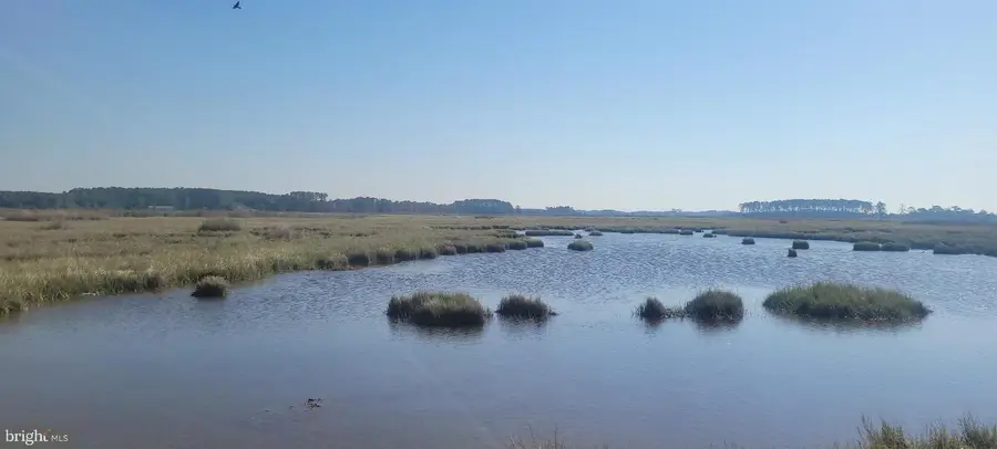 27012 Johnson Creek Rd, Crisfield, MD 21817 - #2