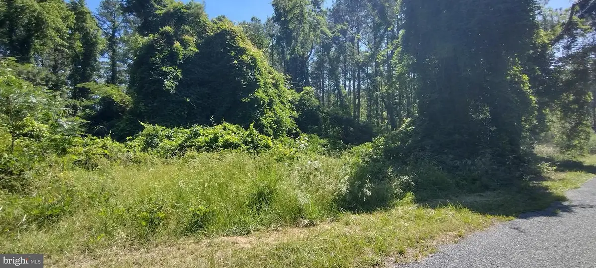 4064 Back Shelltown Rd, Marion Station, MD 21838 - #1