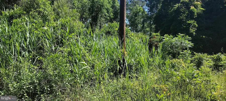 4064 Back Shelltown Rd, Marion Station, MD 21838 - #2
