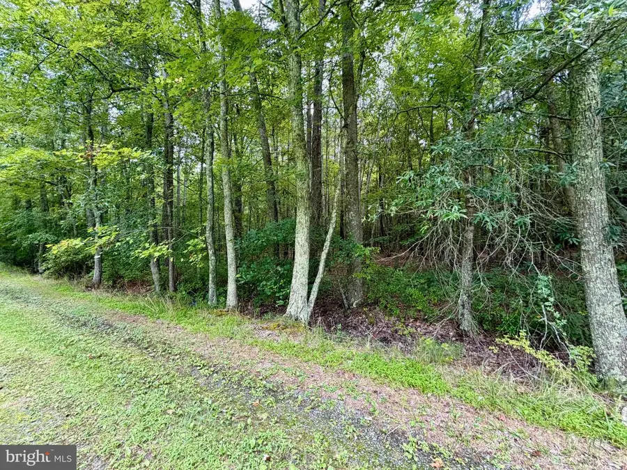 0 Deal Island Rd, Princess Anne, MD 21853 - #3