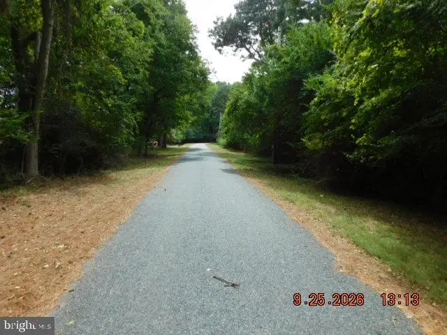 100 Roland Parks Rd, Chance, MD 21821 - #2