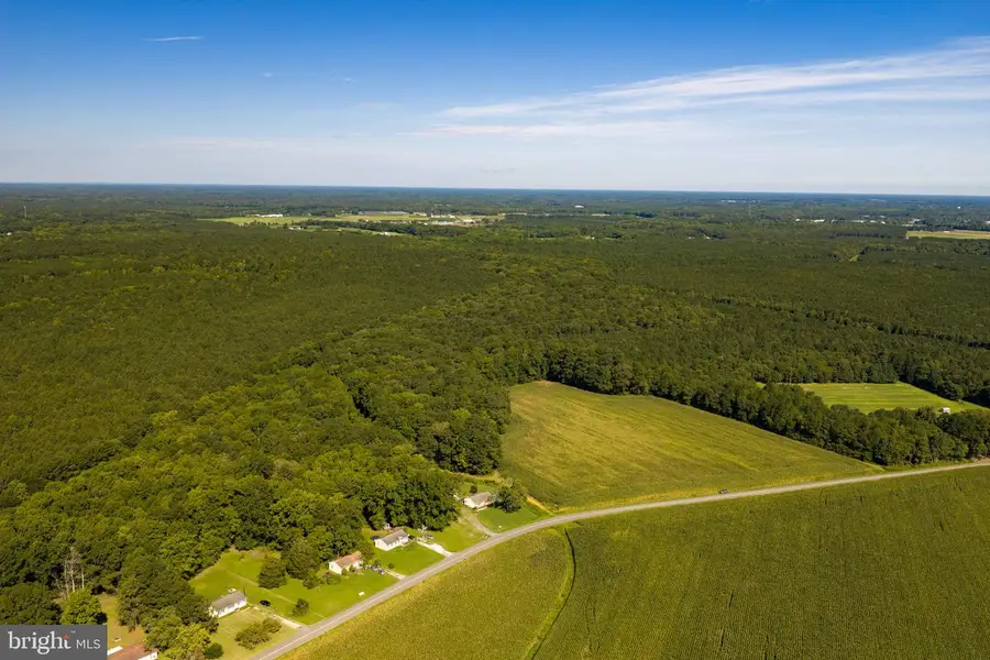 0 Backbone Rd, Eden, MD 21822 - #3