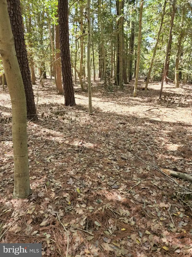 00 New Rd, McDaniel, MD 21647 - Image #1