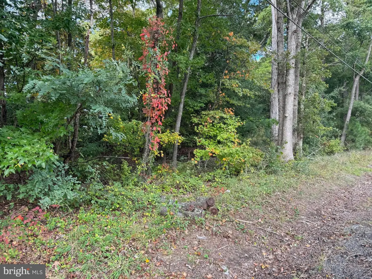 Ocean Gateway, Trappe, MD 21673 - Image #1