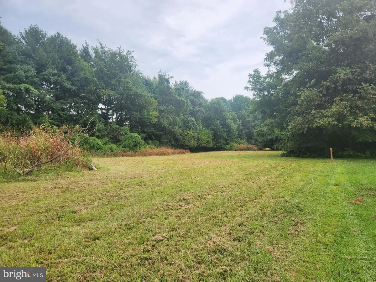 13433-13433 Ocean Gateway #lot 1, Wye Mills, MD 21679 - Image #1