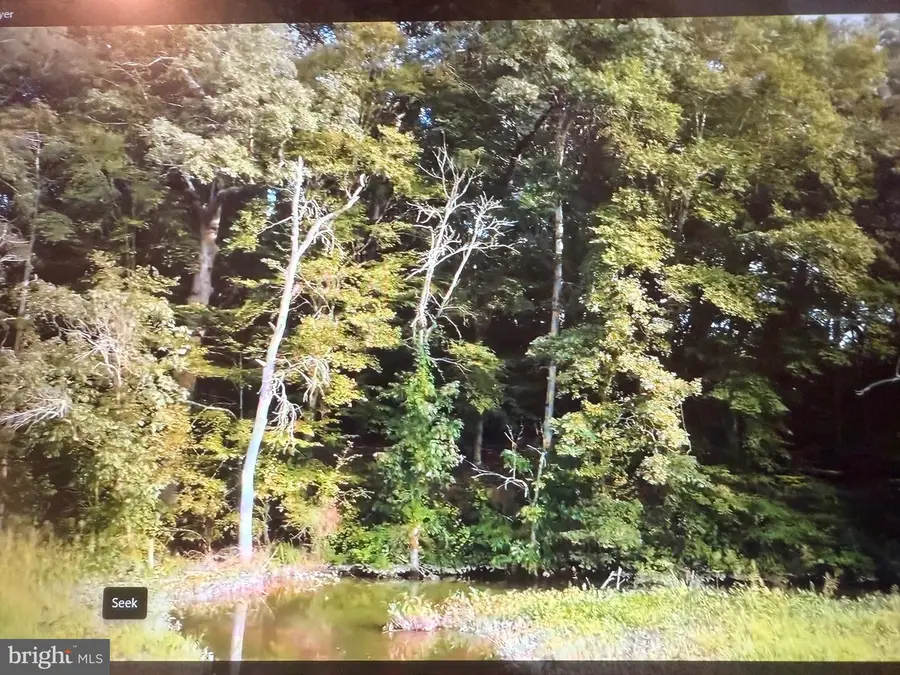 Lot #48 High Banks Drive, Easton, MD 21601 - Image #2