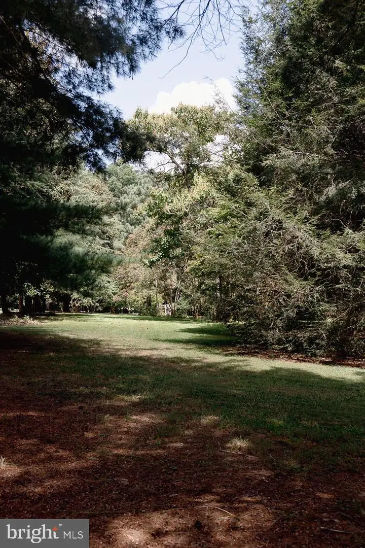 Lot #48 High Banks Drive, Easton, MD 21601 - Image #3