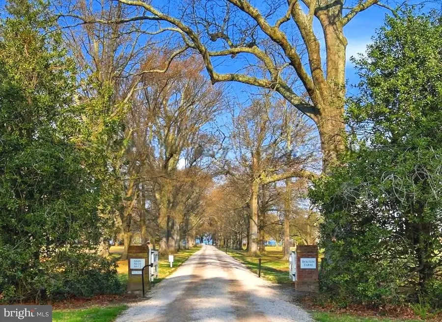 8612 Tilghman Island Rd, Wittman, MD 21676 - #3