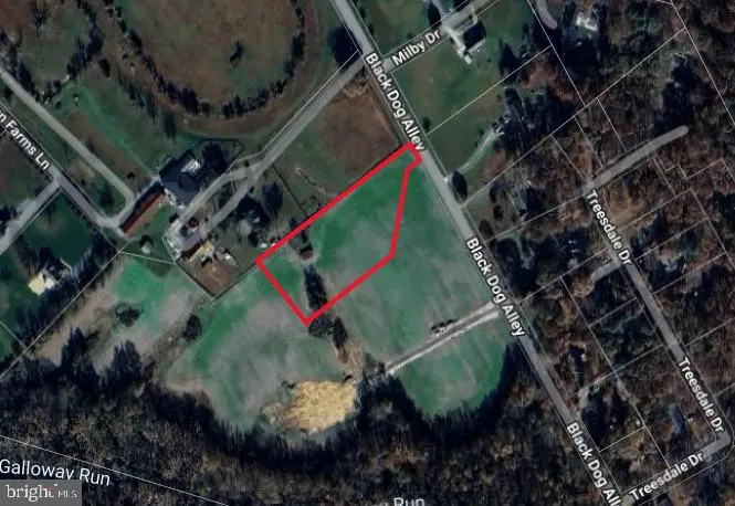 Black Dog Aly, Easton, MD 21601 - Image #2