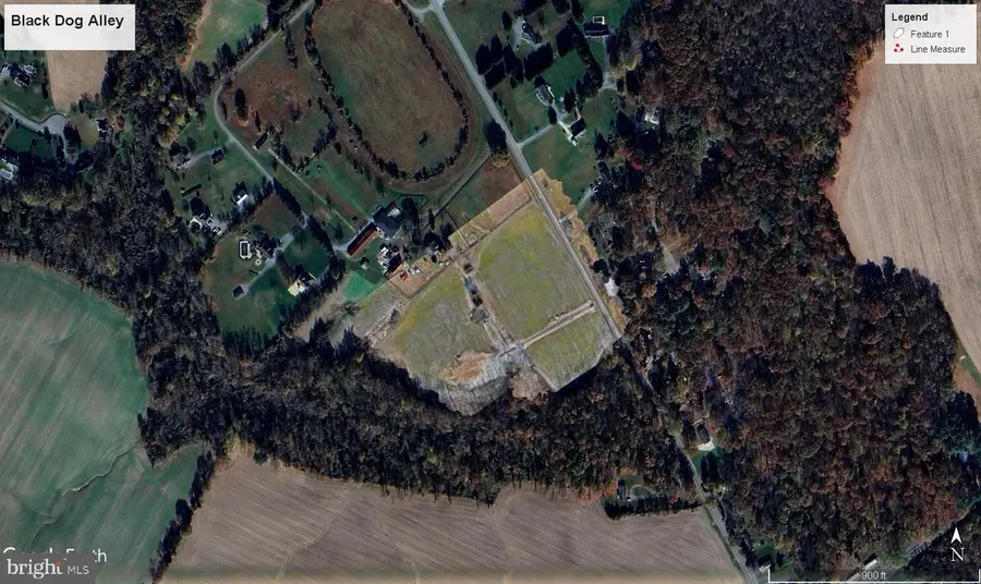 Black Dog Aly, Easton, MD 21601 - Image #3