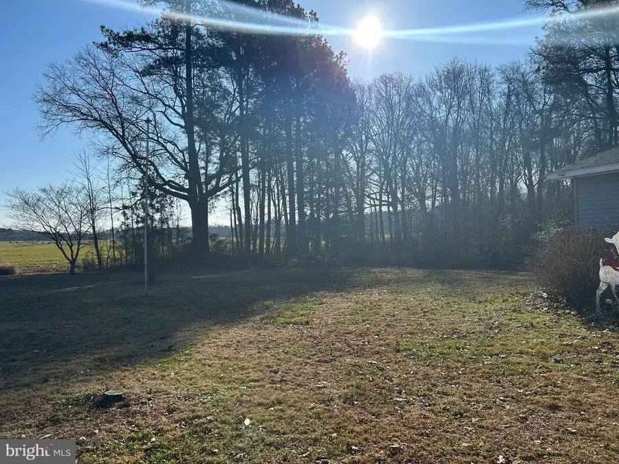 30423 Baynard Rd, Trappe, MD 21673 - Image #3