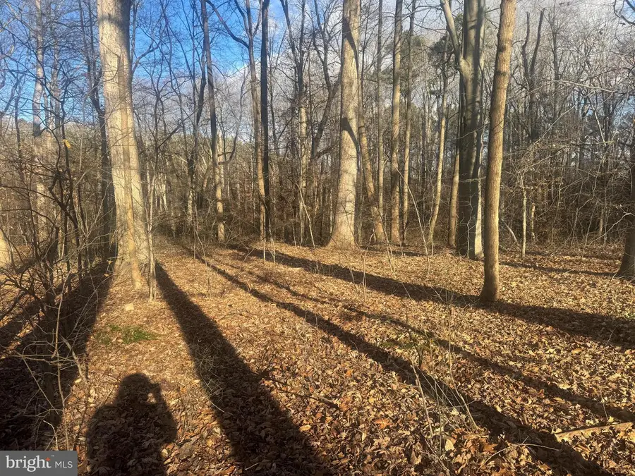 Glen Ridge Rd, Easton, MD 21601 - Image #2