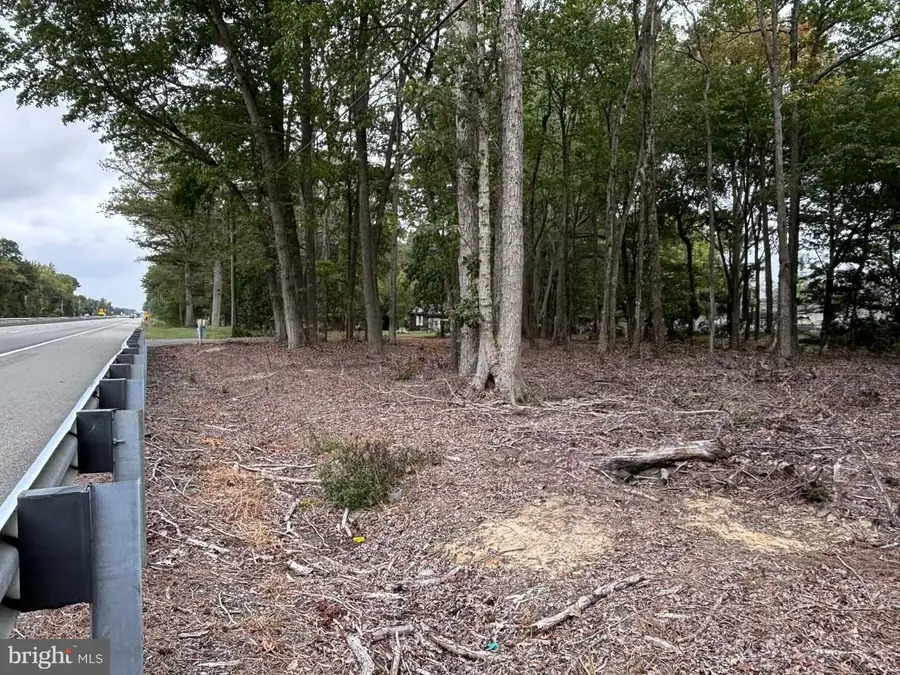 Ocean Gtwy, Trappe, MD 21673 - Image #3