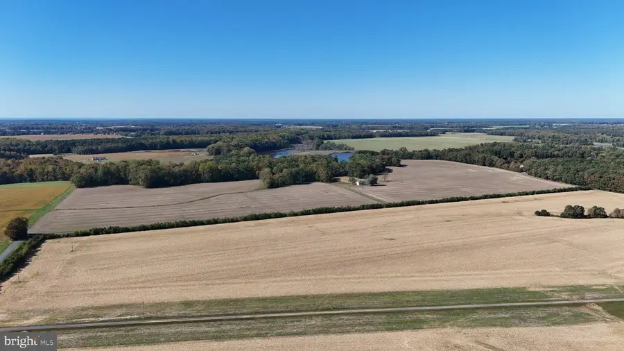 4108 Saulsbury Rd, Trappe, MD 21673 - #3