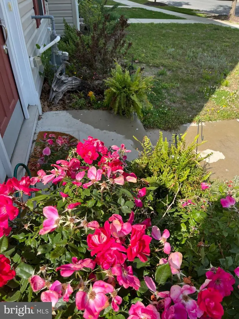 313 Ashby Commons Dr, Easton, MD 21601 - #3