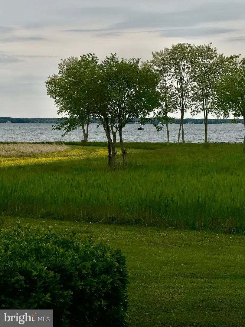 360 Perry Cabin, Saint Michaels, MD 21663 - #2