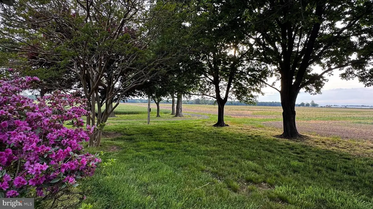 12633 Connelly Rd, Cordova, MD 21625 - #1