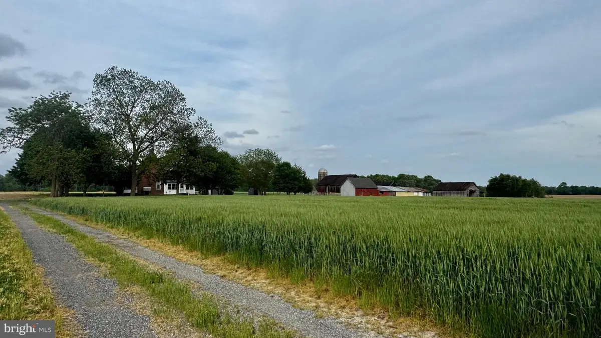 12633 Connelly Rd, Cordova, MD 21625 - #1