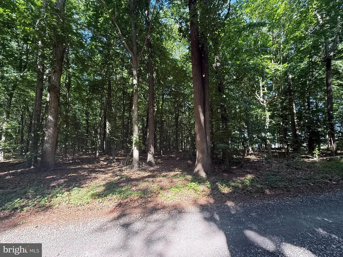 Church Ln, Cordova, MD 21625 - #1